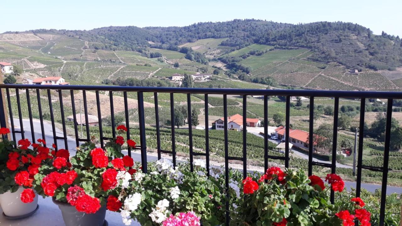 Domaine Du Coteau Des Lys Hotel Fleurie Exterior foto