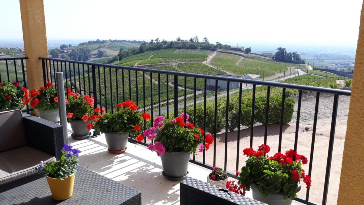 Domaine Du Coteau Des Lys Hotel Fleurie Exterior foto